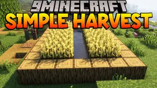 Simple Harvest Mod (1.12.2) – Right Click to Harvest Crops
