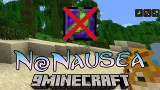 NoNausea Mod (1.12.2) – Reduces The Effects of Dizziness and Nausea