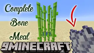 Complete Bone Meal Mod (1.20.4, 1.19.4) – All are Growing Rapidly