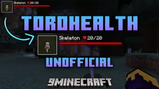 ToroHealth Unofficial Mod (1.20.4, 1.20.1) – Health Bars, Customizable Display