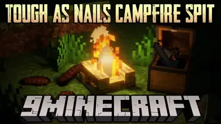 Tough As Nails Campfire Spit Mod (1.12.2) – Cooking Food
