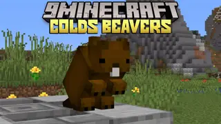Colds Beavers Mod (1.16.5) – Large Semi-Aquatic Rodents
