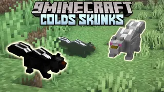Colds Skunks Mod (1.16.5) – Small Mammals, Burrowing Animals