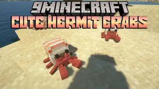 Cute Hermit Crabs Mod (1.19.2, 1.18.2) – Marine Crustacean