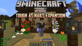 Tough As Nails Expansion Mod (1.12.2, 1.11.2) – RF Items and Blocks