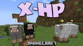 X-HP Mod (1.20.2, 1.19.4) – Streamlined Health and Damage Display