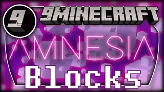 Amnesia Blocks Mod (1.12.2) – Makes You Randomly Forget What a Block Is
