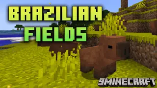 Brazilian Fields Mod (1.20.1, 1.18.2) – Exploring Brazilian Wilderness