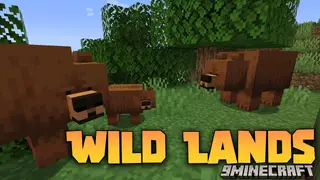 Wild Lands Mod (1.20.1, 1.19.2) – Journey through The Wild Lands