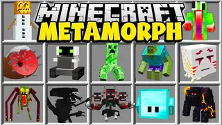 MetaMorph Mod (1.12.2, 1.11.2) – Play As Your Favorite Mob