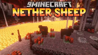 Nether Sheep Mod (1.20.1, 1.19.4) – Overhaul The Nether