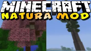 Natura Mod (1.12.2, 1.11.2) – Make the World Feel Alive