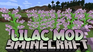 LiLaC Mod (1.20.4, 1.20.1) – Lib Lapis Core