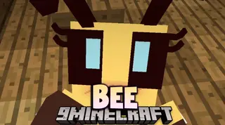 Bee Mod (1.12.2) – Golden Bee Girl with Her Chest