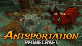 Antsportation Mod (1.20.1, 1.19.2) – Let Ants Handle Your Logistics