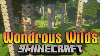 Wondrous Wilds Mod (1.19.2, 1.19) – Expansion of The Wild Update