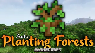 Auto Planting Forests Mod (1.20.1, 1.19.4) – Introduces Automatic Tree Replanting