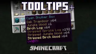 Tooltips+ Mod (1.20.2, 1.19.4) – New Detailed Colorful Tooltips