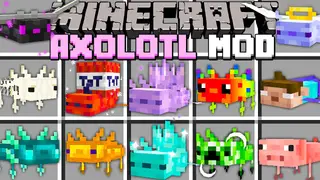 More Axolotl Mod (1.20.1, 1.19.2) – Many New Realistic Axolotl Types
