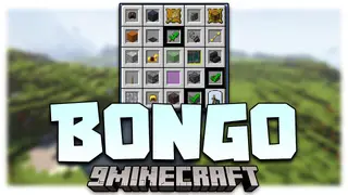 Bongo Mod (1.20.1, 1.19.4) – Bingo In Minecraft