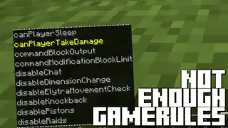 Not Enough Gamerules Mod (1.20.1, 1.19.2) – More Gamerules