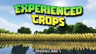 Experienced Crops Mod (1.20.1, 1.19.2) – Fully Grown Crops Drop XP