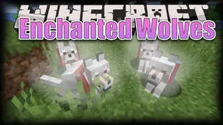 Enchanted Wolves Mod (1.20.1, 1.18.2) – Enchanted Companion, Stronger Pet