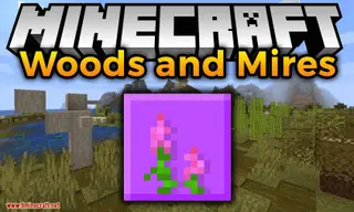 Woods and Mires Mod (1.20.1, 1.19.4) – Nordic Nature Biomes