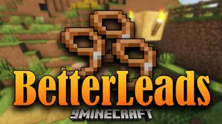 BetterLeads Mod (1.20.1, 1.18.1) – Capture all entities