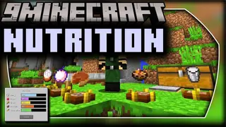 Nutrition Mod (1.12.2) – Ensure You Eat Healthy