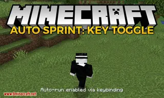 Auto Sprint (Key Toggle) Mod (1.19.4, 1.18.2) – Toggle Auto Running, Swimming