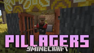 Pillagers Mod (1.16.5, 1.12.2) – Allows You To Get Villager Loot By Killing Them!