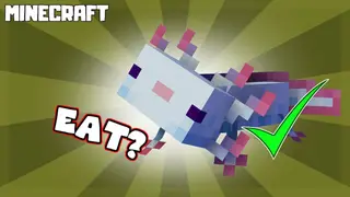 Axolotl Food Mod (1.19.2, 1.18.2) – Eat Axolotl as Food
