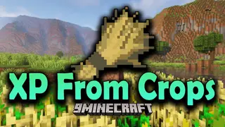 XP From Crops Mod (1.19.2, 1.18.2) – Gaining XPs from Farming