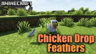 Chicken Drop Feathers Mod (1.19.3, 1.16.5) – Miracles For Chickens