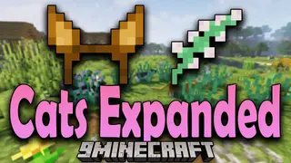 Cats Expanded Mod (1.19.3, 1.18.2) – Cat Related Items