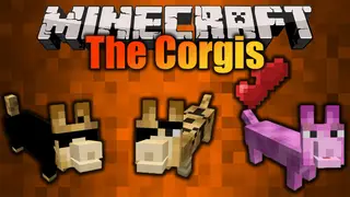 The Corgis Mod (1.19.3, 1.16.5) – Friendly Entity, Corgies