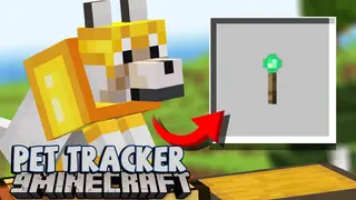 Pet Tracker Mod (1.19.2, 1.18.2) – Tracking Location of Your Pets