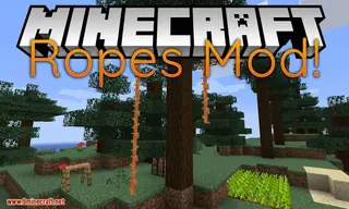 Ropes Mod (1.16.5, 1.15.2) – Adding Climbable Ropes