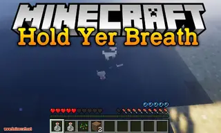 Hold Yer Breath Mod 1.16.5, 1.12.2 (Reinforced Air Bottles)