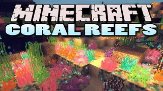 CoralReef Mod (1.19.2, 1.18.2) – Small Aesthetic Mod