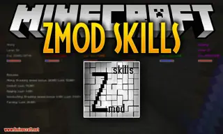 ZmodSkills Mod (1.16.5, 1.15.2) – Are You A Best Miner or Fighter?