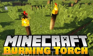 Burning Torches Mod (1.18.2, 1.16.5) – Torches Are Not Forever