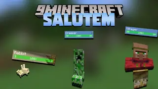 Salutem Mod (1.19.2, 1.18.2) – Floating Health Bar