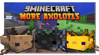 More Axololts Mod (1.19.2, 1.18.2) – Companions, Pets