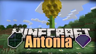 Antonia Mod (1.16.5, 1.15.2) – A Lot of Imaginary