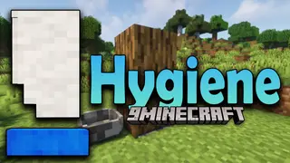 Hygiene Mod (1.18.2, 1.16.5) – Cleaning yourself