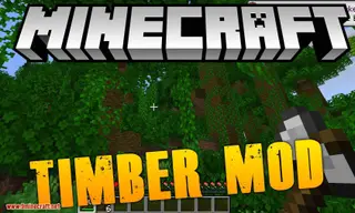 pizzaatime's Timber Mod (1.18.2, 1.17.1) – One Block Chop, Many Tree Drop