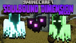 Soulbound Dimension Mod (1.17.1, 1.16.5) – Dimension, Entities