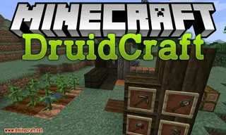 Druidcraft Mod (1.18.2, 1.16.5) – Ever Wanted to Explore Druidry?